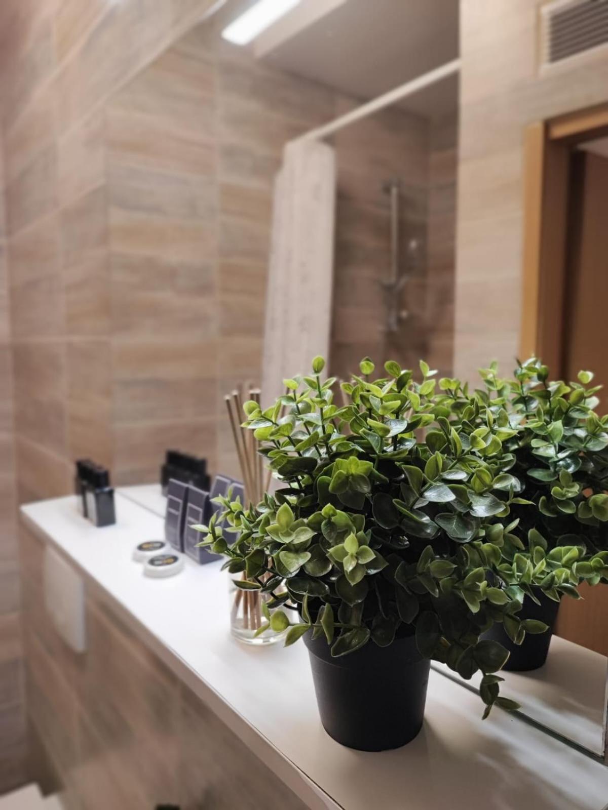 Sunny Rooms And Suites Szybenik Zewnętrze zdjęcie